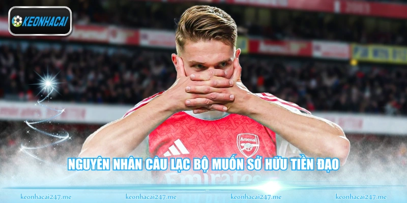 Gyökeres Và Arsenal - Bom Tấn Chuyển Nhượng Mùa Hè 2 Nguyên nhân câu lạc bộ muốn sở hữu tiền đạo